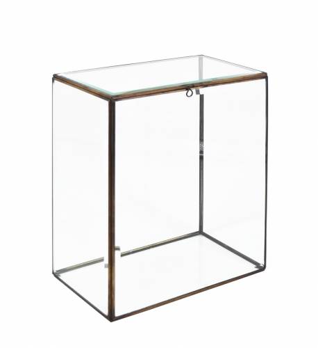 Cutie pentru depozitare din sticla si metal Big Bezel Box Transparent / Alama - L25xl15xH37 cm