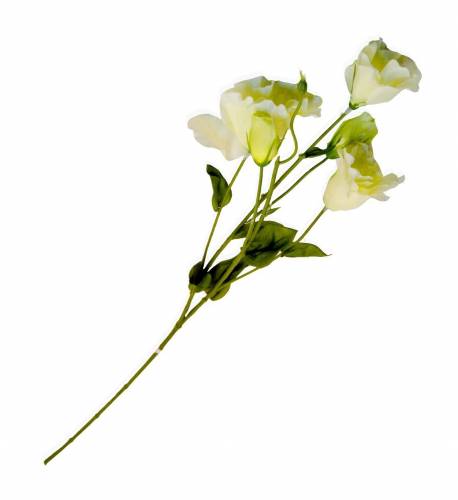 Fir floare artificiala Spring Alb - 75 cm