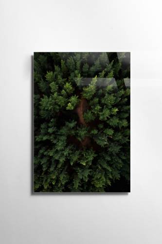 Tablou Sticla Above The Forest 1170 Verde - 30 x 45 cm