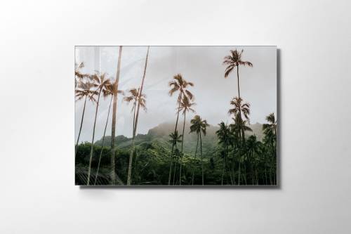 Tablou Sticla Troy 1149 Multicolor - 45 x 30 cm