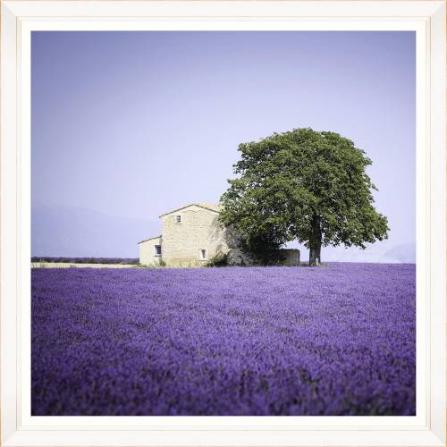 Tablou Framed Art Beautiful Provence