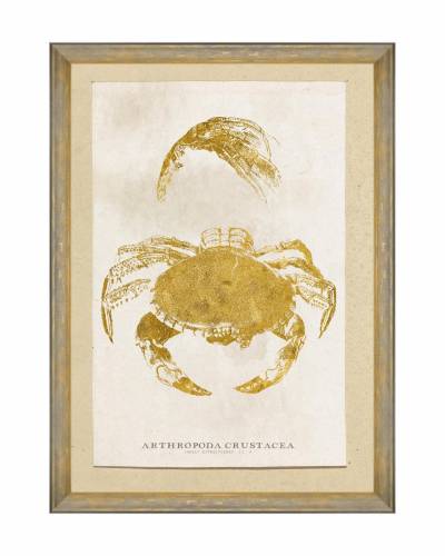 Tablou Framed Art Caribbean Sea Life - Arthropoda Crustacea - 50 x 70 cm