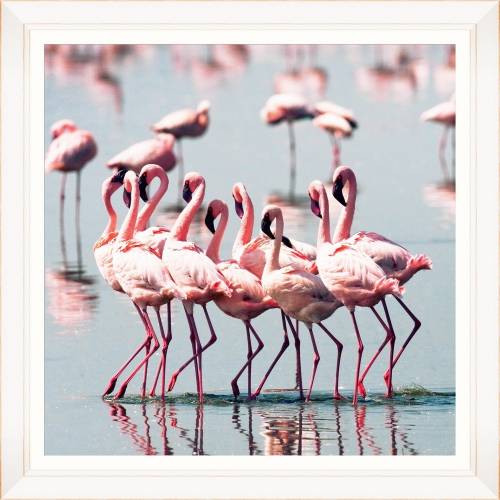 Tablou Framed Art Flamingo Flock