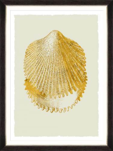Tablou Framed Art Golden Seashell II