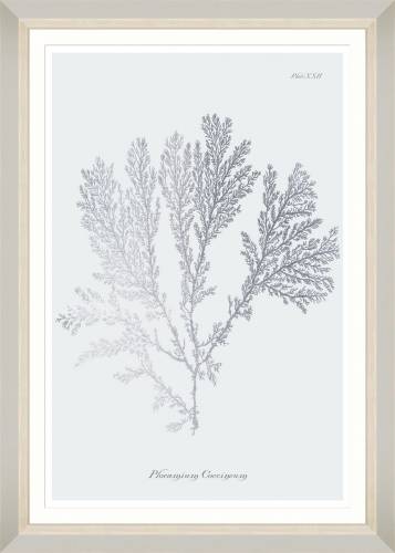 Tablou Framed Art Silver Coral II