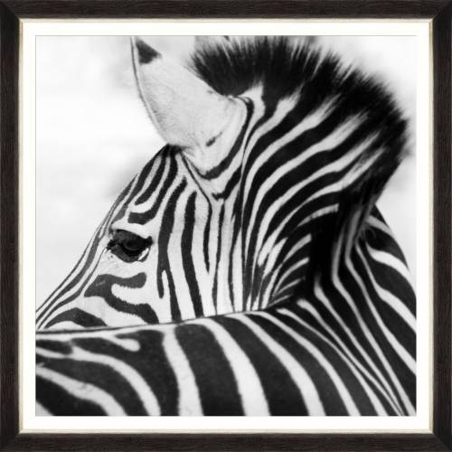 Tablou Framed Art Zebra Head
